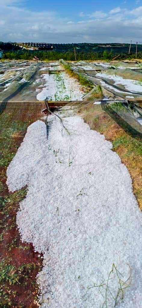 الأمطار العاصفية تحدث خسائر مادية بالمدن و تعمق جراح فلاحي جهة فاس مكناس