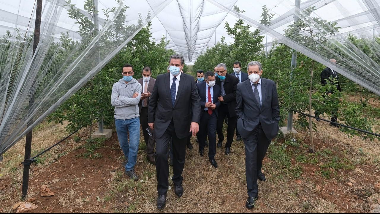 عاجل...بالصور: أخنوش يتفقد الفلاحين المتضررين من التبروري بجهة فاس مكناس