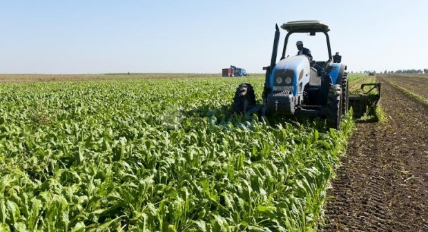 أخيرا...السماح لهواة الصيد والقنص بممارسة أنشطتهم لكن بشروط مشددة