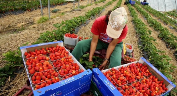 ساكنة  دوار تزران بالجماعة الترابية كيسان تاونات  تنتظر العناية والاتفاتة  =من جدية عمل سيد ي صالح داحا  عامل اقليمهم  من اجل مساعدتهم للحصول على  الموافقة من طرف السلطات الجماعة لحفر بئر لتلبية حاجيات ساكنة الدوار من الماء الصالح للشرب=