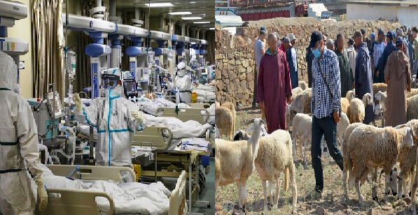 أضحية العيد في عام