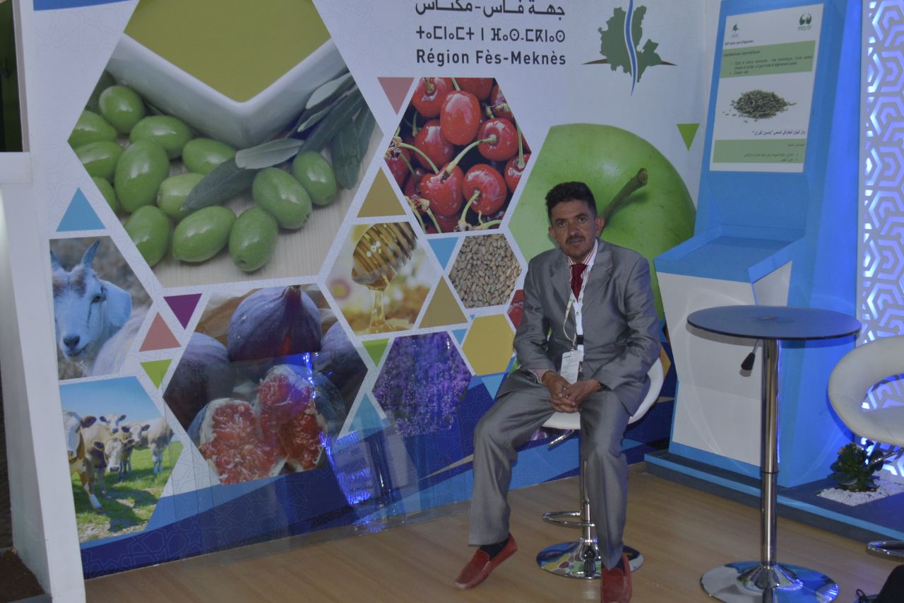 اطلالة بالواضح والملموس لفحوى مضمون سلسلة الزيتون  بإقليم صفر جودة في تحسن وآفاق واعدة