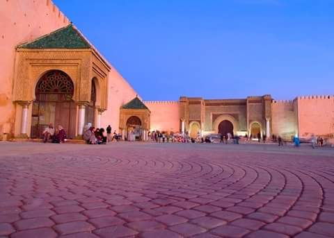 مكناس         لقاء تواصلي عن بعد حول أهمية المشاركة السياسية النسائية