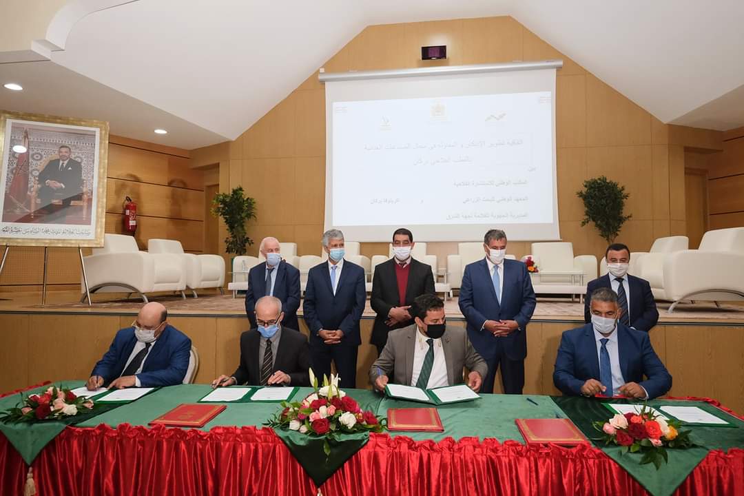 عاجل... أخنوش يحل ببركان ويدشن مشاريع تنموية فلاحية وقروية