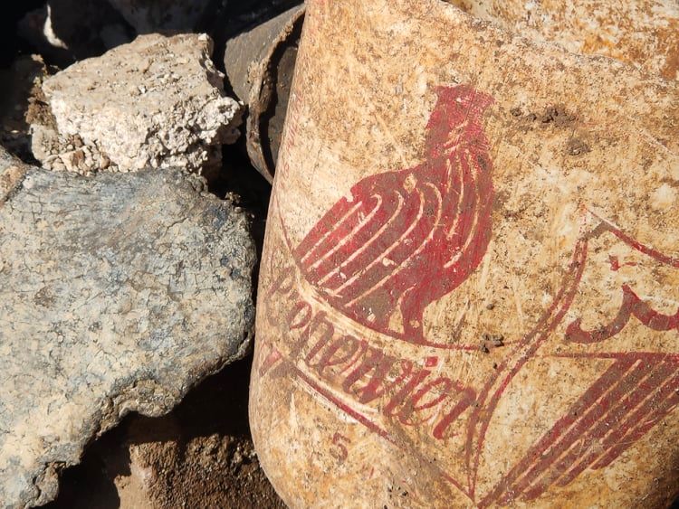 نوستالجيا من تاريخ (صنع بمكناس) تحمل رمز زيت النسر.