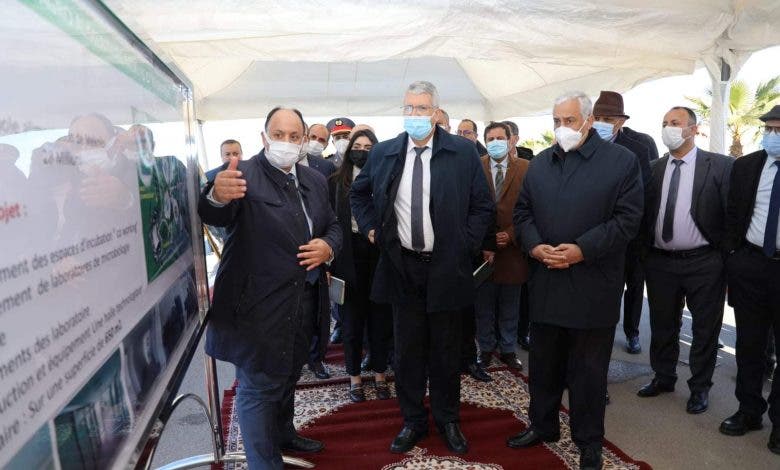 وزير الفلاحة يترأس ورشة عمل دولية ويطلق مشاريع لتطوير المقاولات والابتكار بمكناس