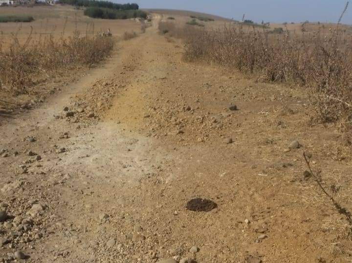 الحاجب..مجموعة مدراس عين الأولى بآيت يعزم تحتفل باليوم الوطني للسلامة الطرقية الحاجب..مجموعة مدراس عين الأولى بآيت يعزم تحتفل باليوم الوطني للسلامة الطرقية