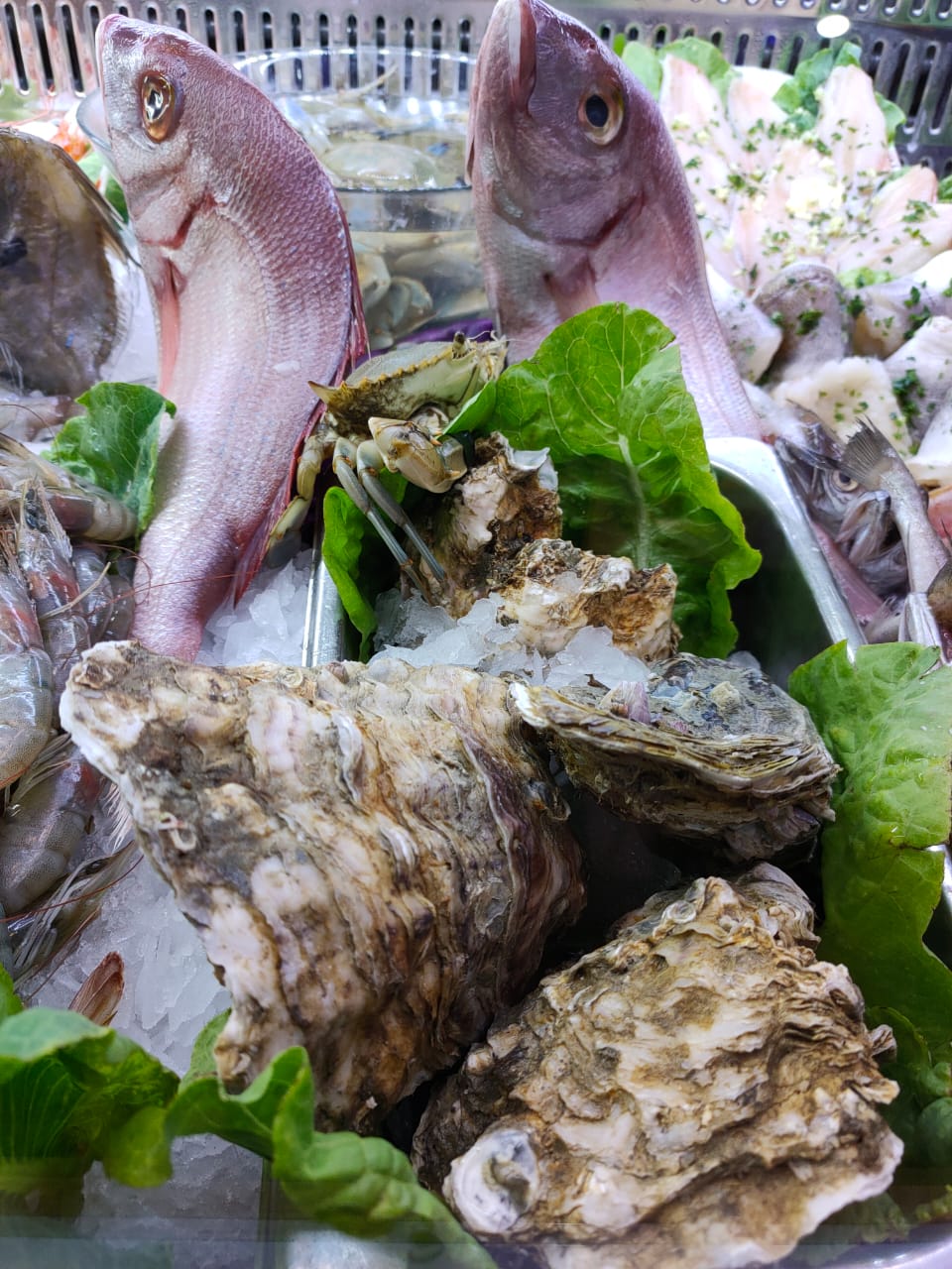 افتتاح مطعم LA Pescada تخصص الأسماك وفواكه البحر افتتاح مطعم LA Pescada تخصص الأسماك وفواكه البحر