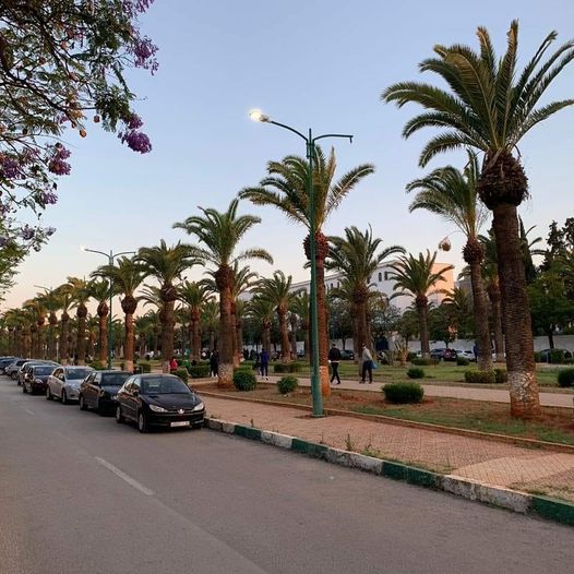 العمران تحقق نتيجة صافية قدرها 127 مليون درهم خلال الفصل الأول من 2022 العمران تحقق نتيجة صافية قدرها 127 مليون درهم خلال الفصل الأول من 2022