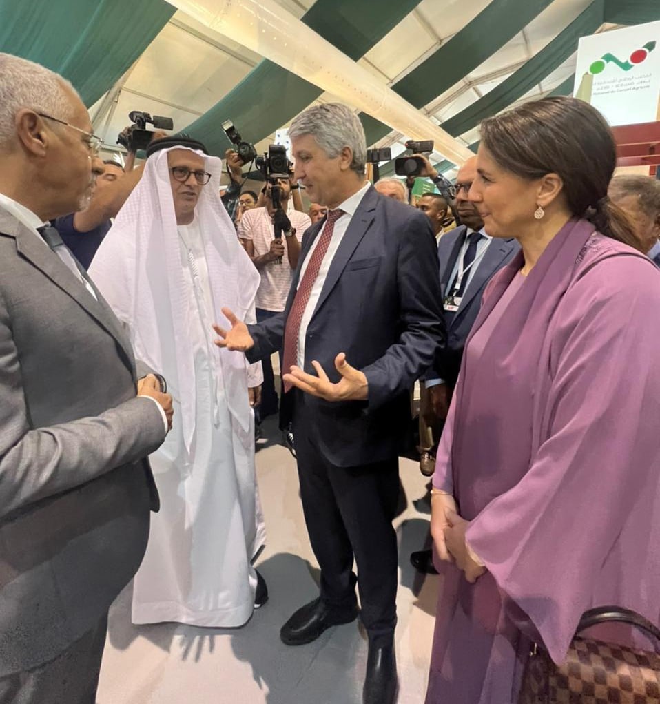 الدورة الـ 11 للملتقى الدولي للتمر بالمغرب تفتح أبوابها بأرفود الدورة الـ 11 للملتقى الدولي للتمر بالمغرب تفتح أبوابها بأرفود