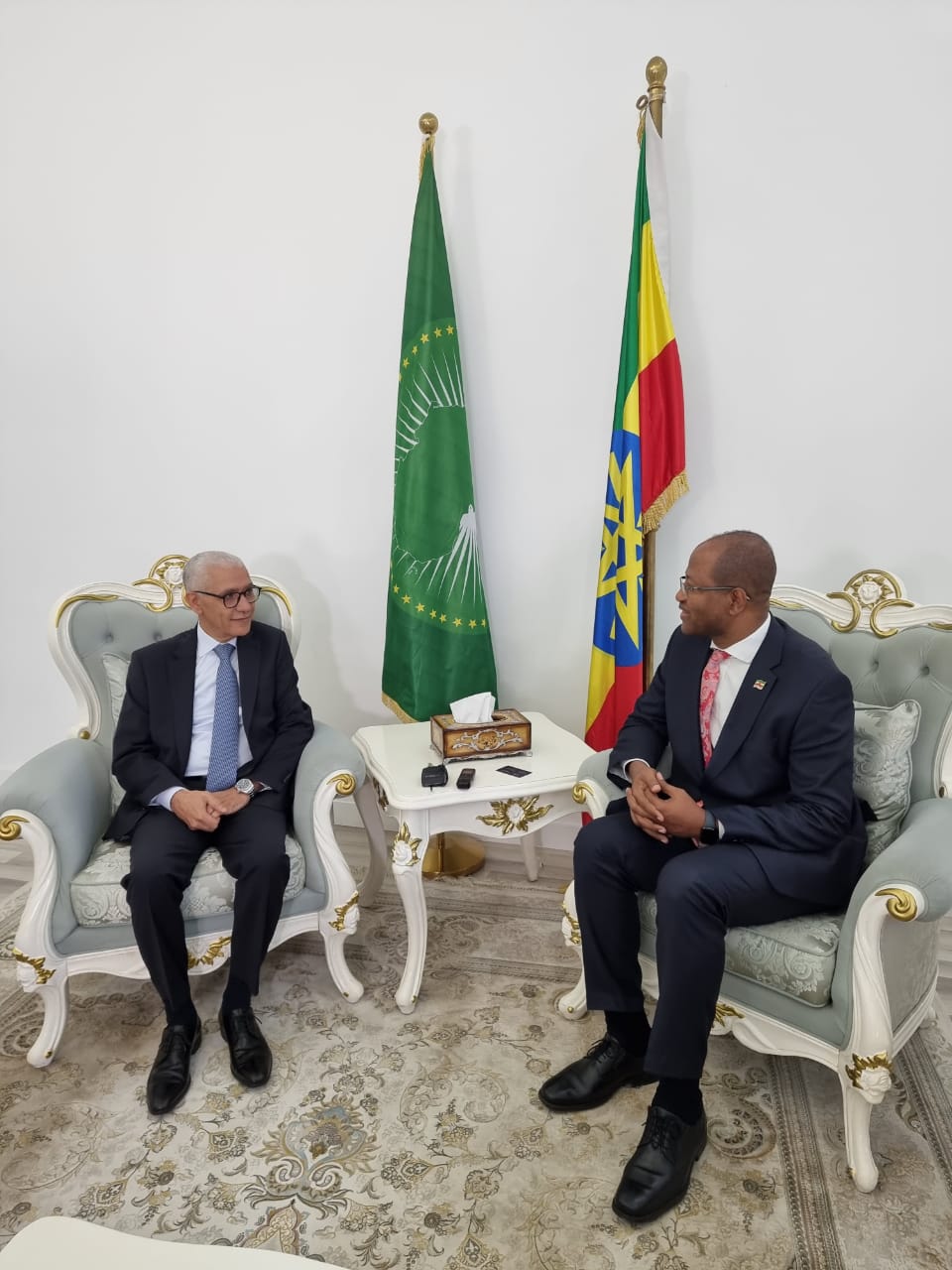 رئيس مجلس النواب يتباحث بأديس أبابا مع نظيره الإثيوبي