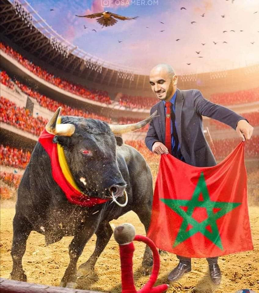 المغرب في حاجة إلى رؤوس لافوكا