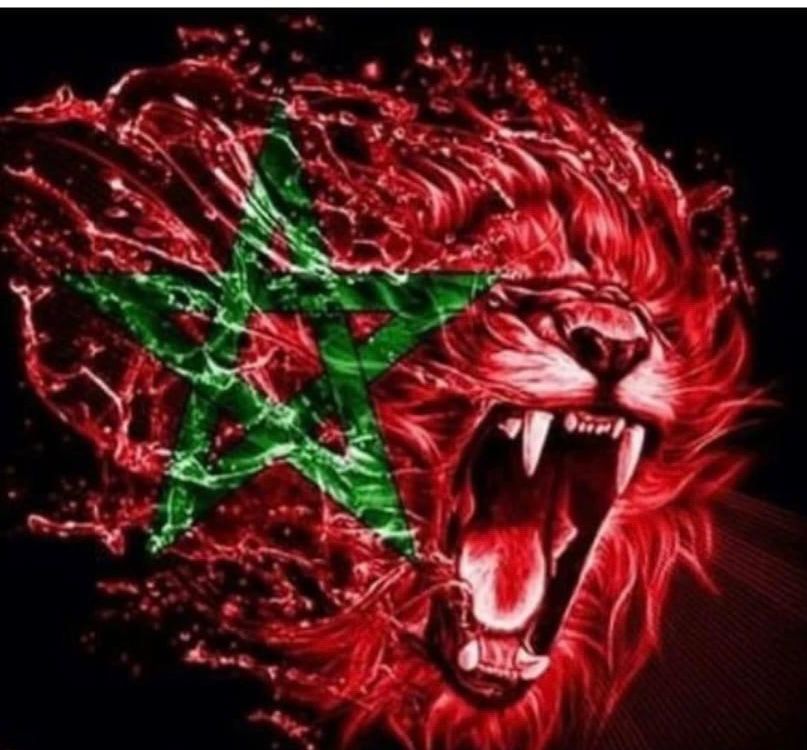 المغرب في حاجة إلى رؤوس لافوكا