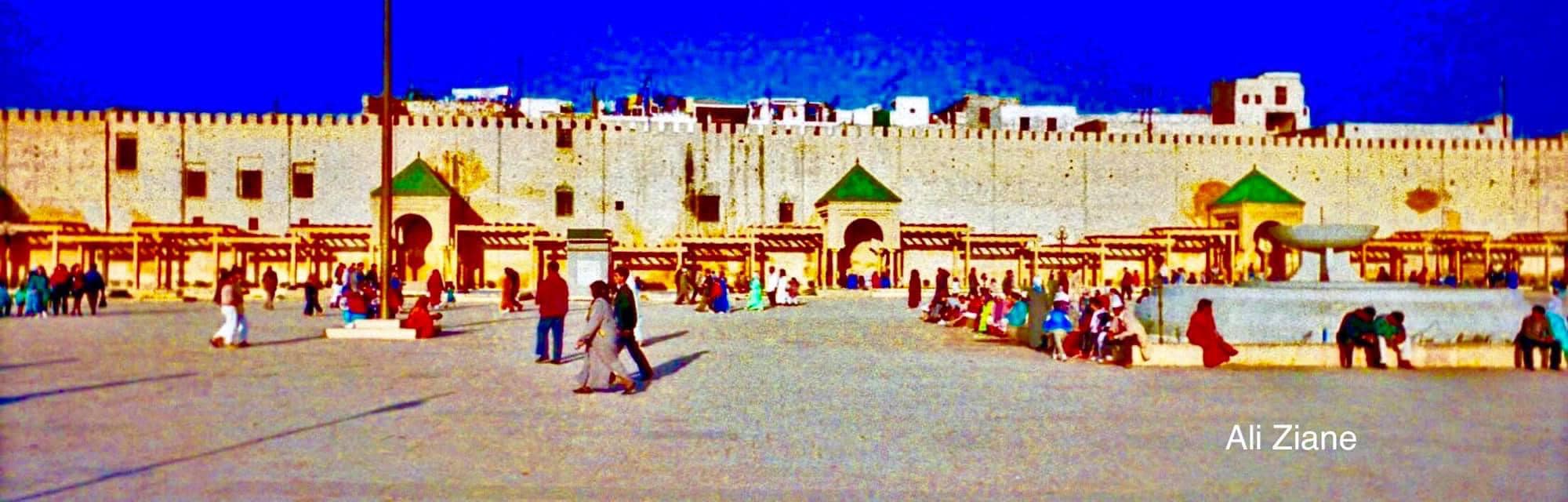 الملتقى الدولي للفلاحة يعود إلى مكناس