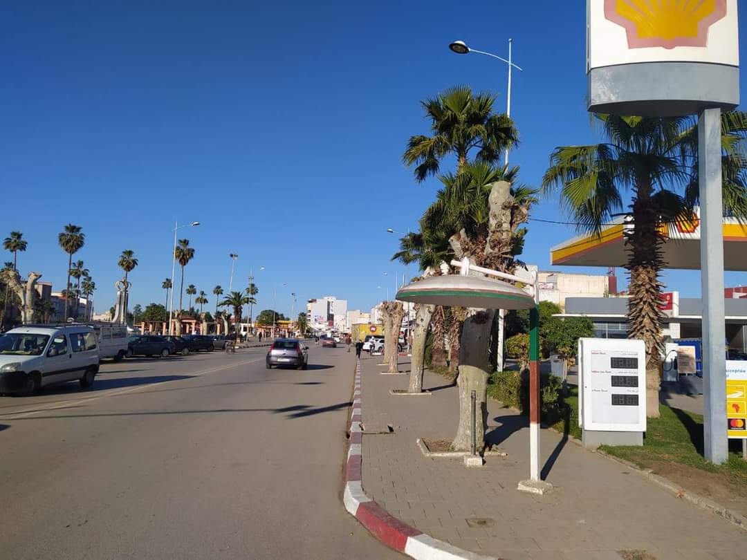 جماعة الخميسات تُطلق عملية تشذيب وتقليم الأشجار جماعة الخميسات تُطلق عملية تشذيب وتقليم الأشجار