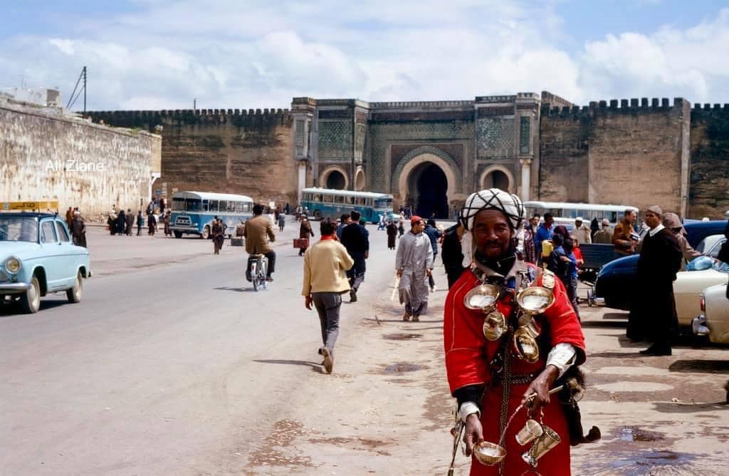 خاص.. 14 شركة إسرائيلية غاتشارك فالمعرض الدولي للفلاحة بمكناس والشامي المندوب العام ل