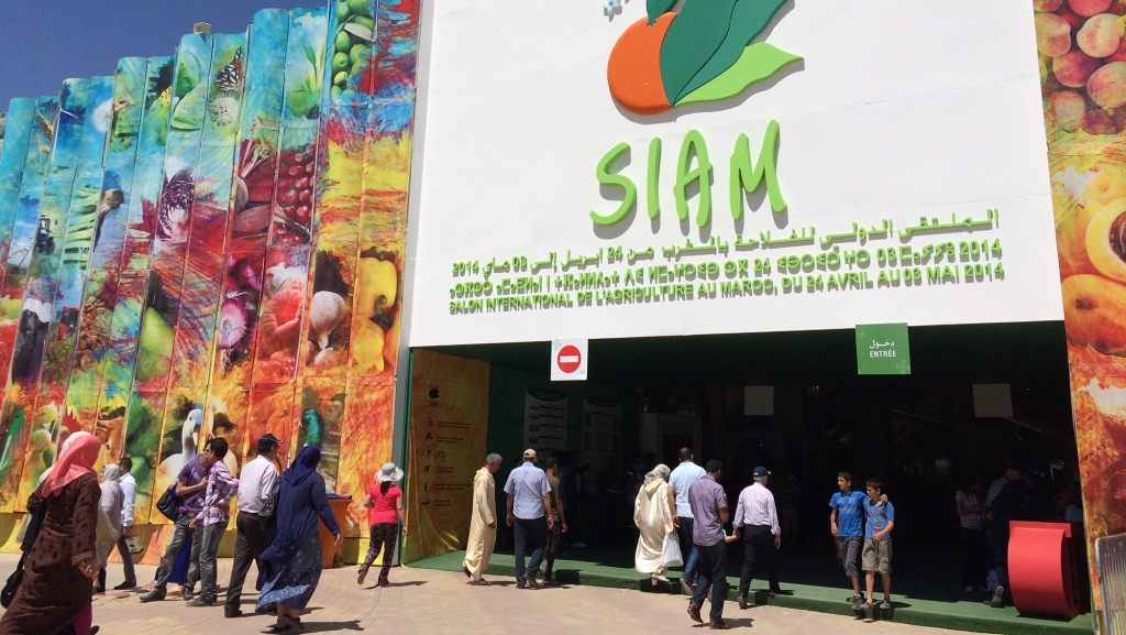 تقديم مشاركة المملكة المتحدة في الدورة 15 بالملتقى الدولي للفلاحة بالمغرب 2023 تقديم مشاركة المملكة المتحدة في الدورة 15 بالملتقى الدولي للفلاحة بالمغرب 2023