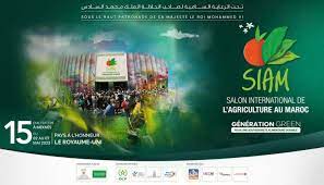 الملتقى الدولي للفلاحة بالمغرب .. خمسة عشر سنة في خدمة تنمية الفلاحة المغربية وإشعاعها الدولي الملتقى الدولي للفلاحة بالمغرب .. خمسة عشر سنة في خدمة تنمية الفلاحة المغربية وإشعاعها الدولي