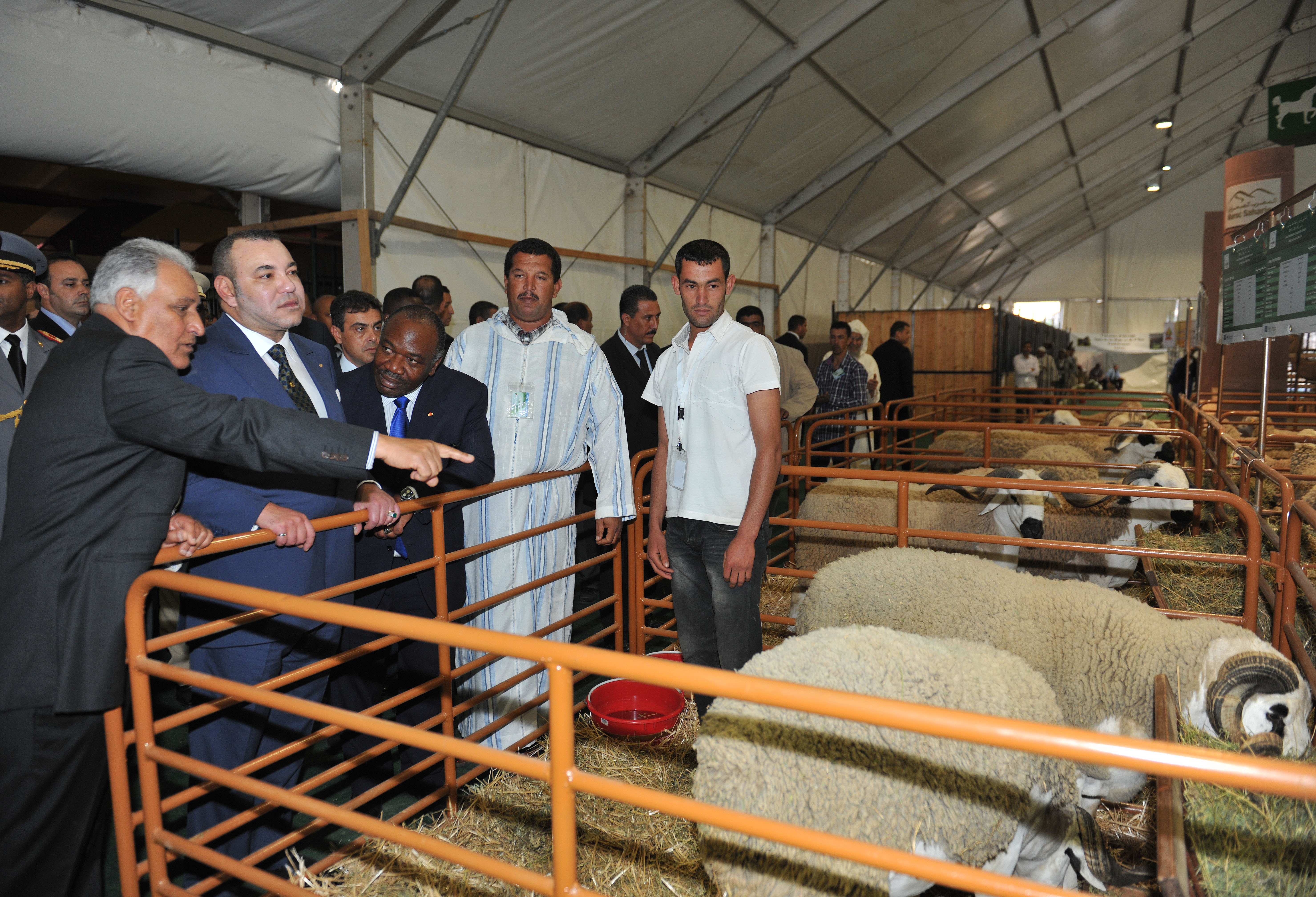 هذه مختلف الأقطاب التي سيضمها الملتقى الدولي للفلاحة بالمغرب هذه مختلف الأقطاب التي سيضمها الملتقى الدولي للفلاحة بالمغرب