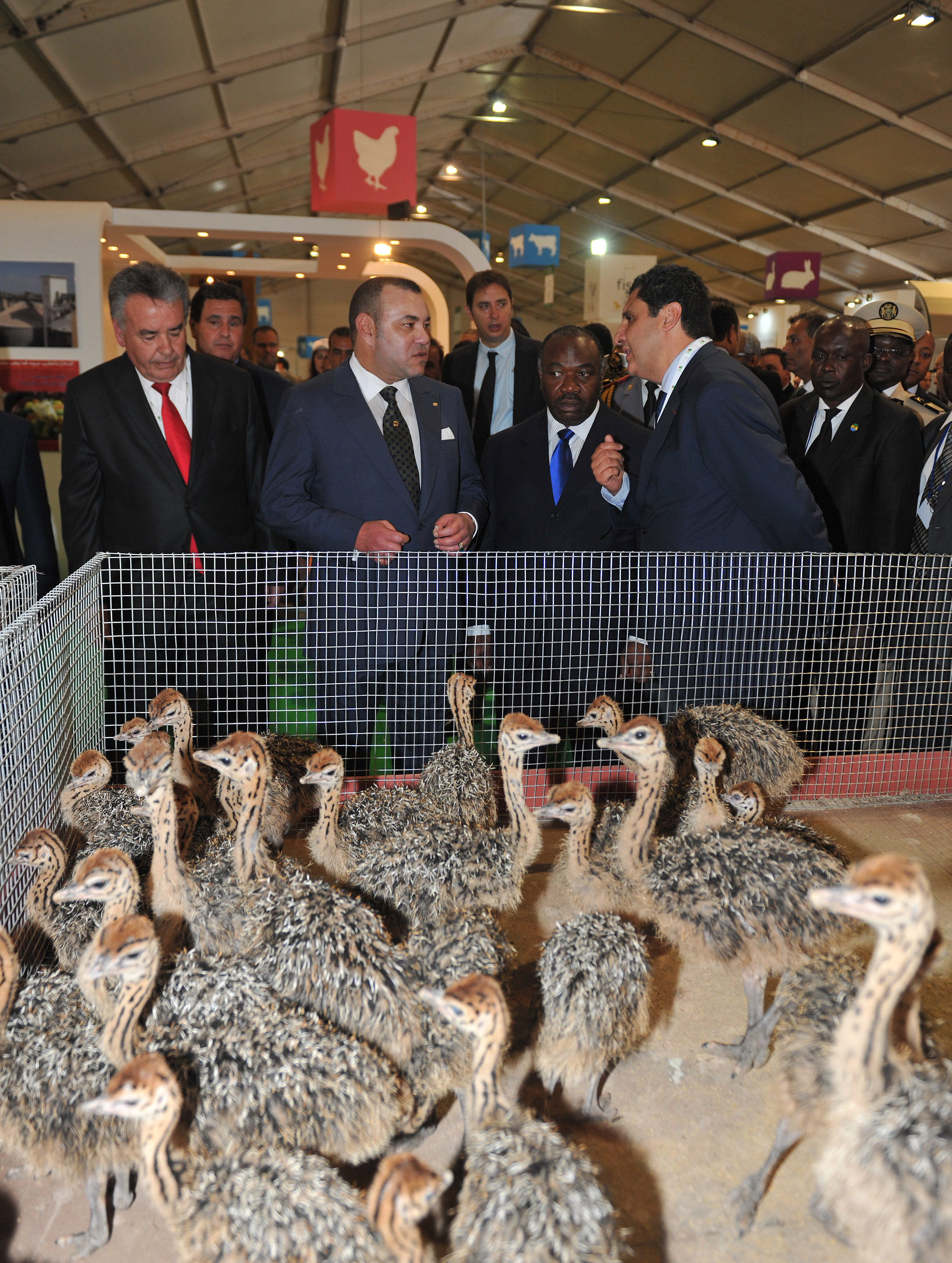 هذه مختلف الأقطاب التي سيضمها الملتقى الدولي للفلاحة بالمغرب هذه مختلف الأقطاب التي سيضمها الملتقى الدولي للفلاحة بالمغرب