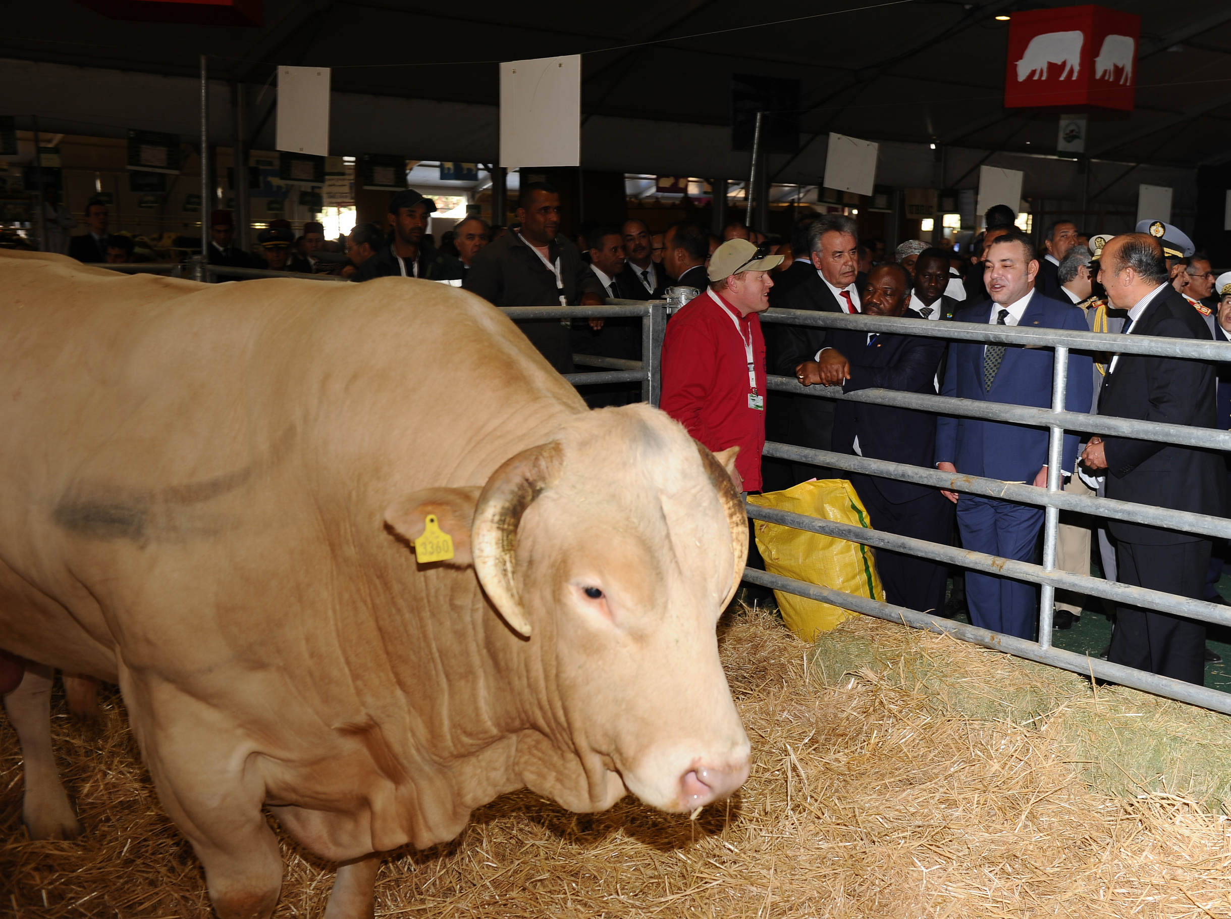 هذه مختلف الأقطاب التي سيضمها الملتقى الدولي للفلاحة بالمغرب