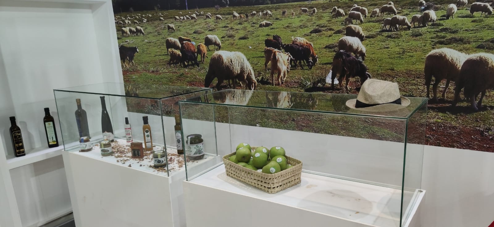 زوار معرض الفلاحة بمكناس يتقاطرون على رواق جهة فاس مكناس زوار معرض الفلاحة بمكناس يتقاطرون على رواق جهة فاس مكناس