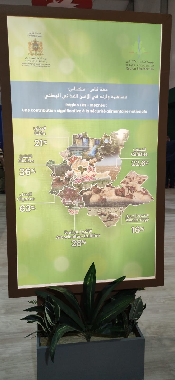 زوار معرض الفلاحة بمكناس يتقاطرون على رواق جهة فاس مكناس زوار معرض الفلاحة بمكناس يتقاطرون على رواق جهة فاس مكناس