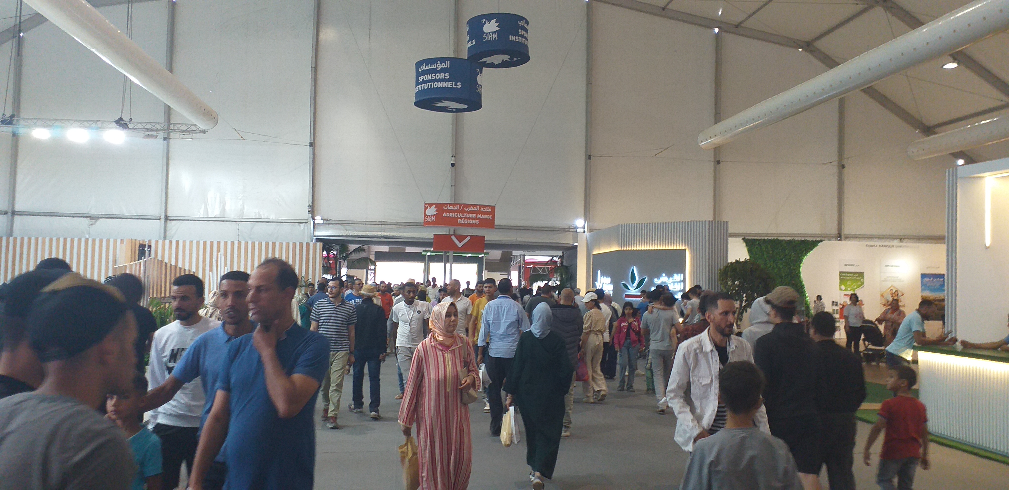 بعد 3 سنوات من التوقف.. المعرض الدولي للفلاحة يشهد إقبالا كبير بعد 3 سنوات من التوقف.. المعرض الدولي للفلاحة يشهد إقبالا كبير