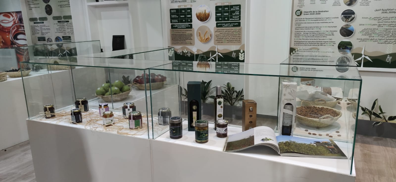 زوار معرض الفلاحة بمكناس يتقاطرون على رواق جهة فاس مكناس زوار معرض الفلاحة بمكناس يتقاطرون على رواق جهة فاس مكناس