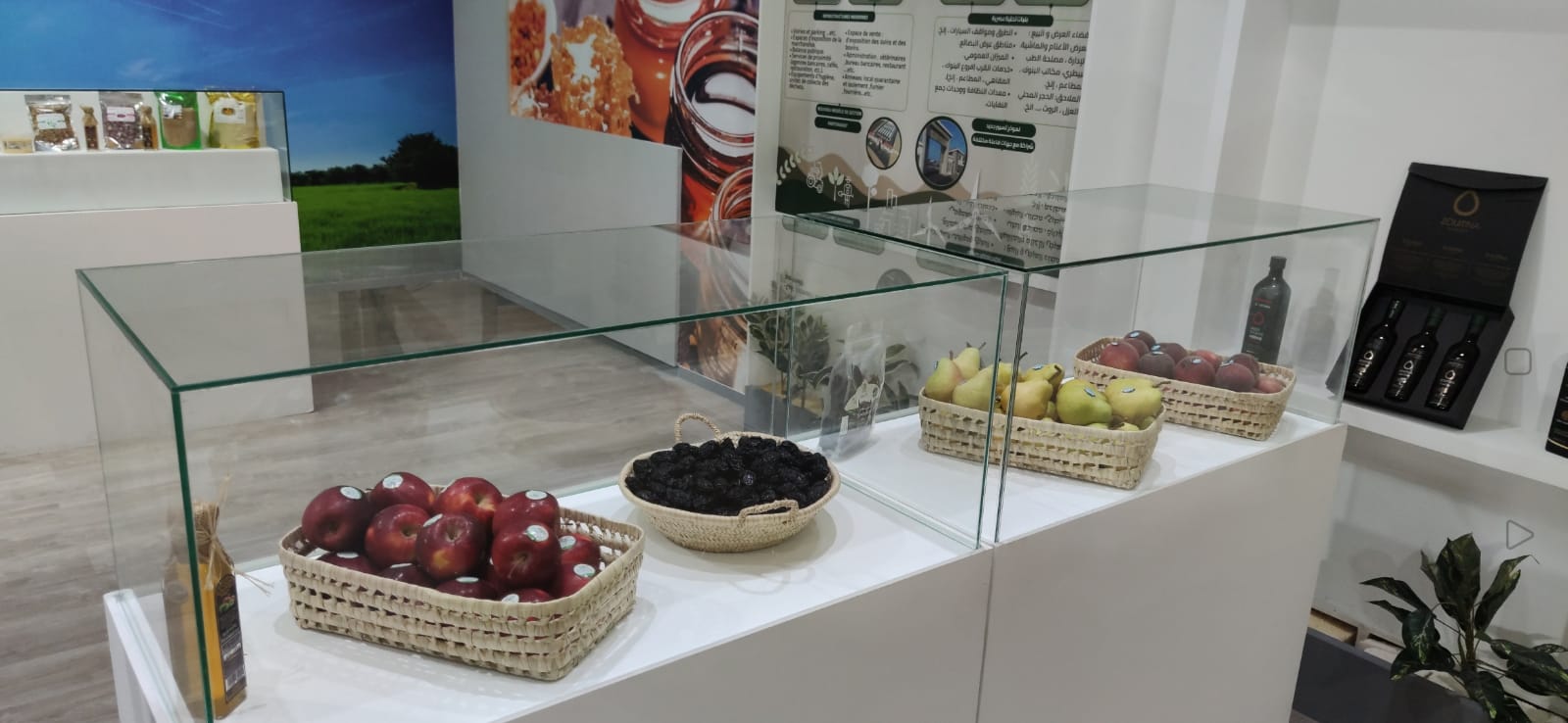 زوار معرض الفلاحة بمكناس يتقاطرون على رواق جهة فاس مكناس زوار معرض الفلاحة بمكناس يتقاطرون على رواق جهة فاس مكناس