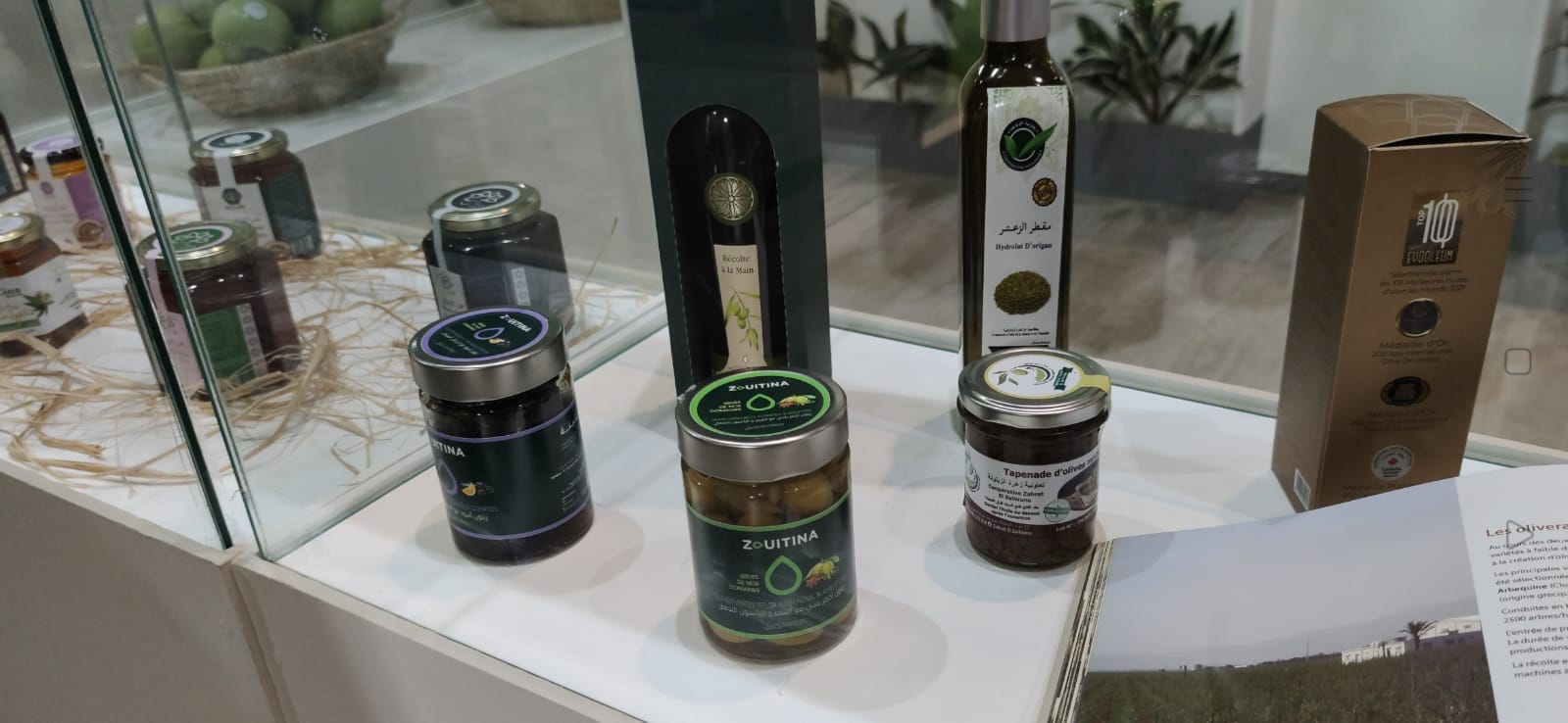 زوار معرض الفلاحة بمكناس يتقاطرون على رواق جهة فاس مكناس زوار معرض الفلاحة بمكناس يتقاطرون على رواق جهة فاس مكناس