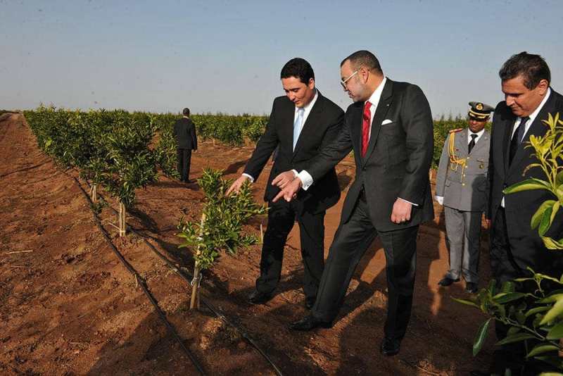بفضل رؤية جلالة الملك.. المغرب نجح في مواجهة تحديات الأمن الغذائي