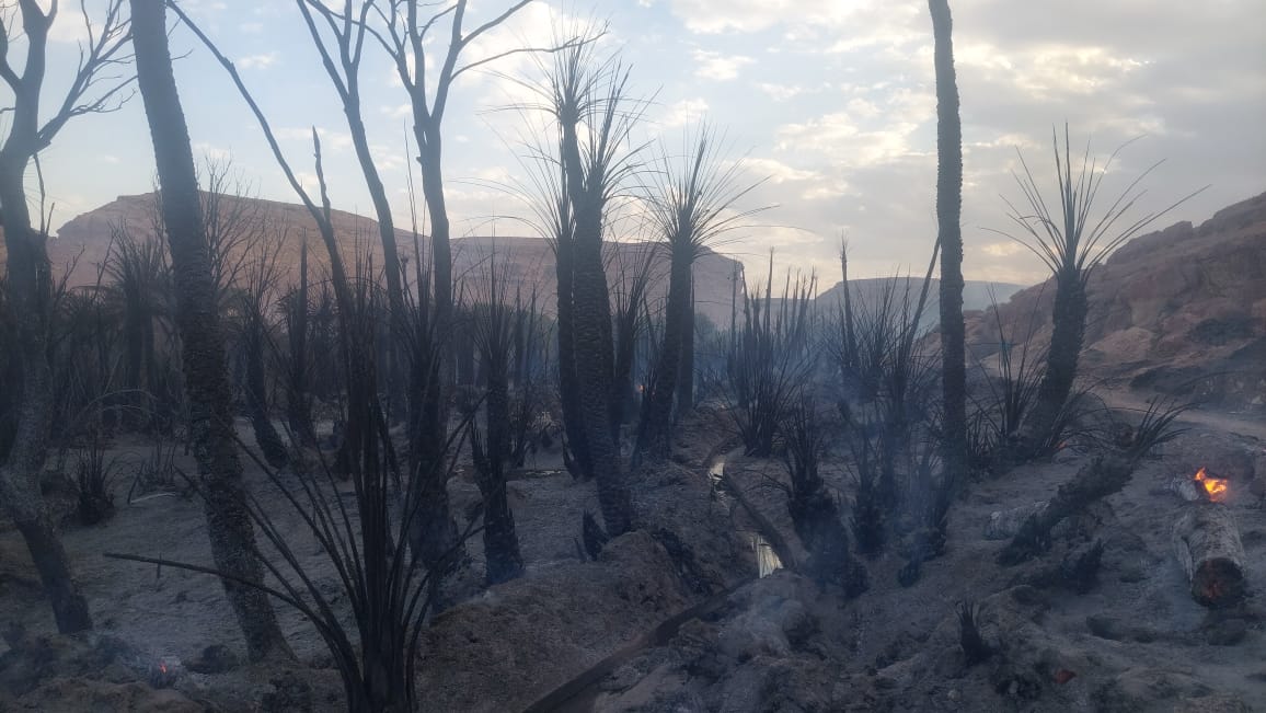 حرائق واحة زيز بين الأسباب والحلول، حرائق واحة زيز بين الأسباب والحلول،