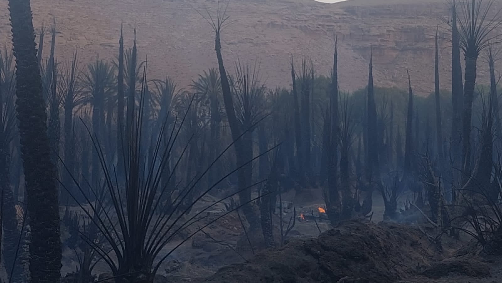 حرائق واحة زيز بين الأسباب والحلول، حرائق واحة زيز بين الأسباب والحلول،