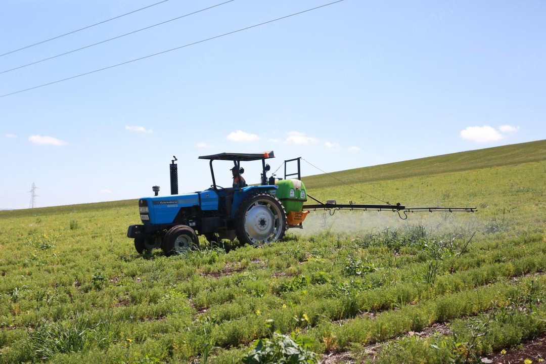 الموسم الفلاحي .. الحكومة تعمل على معالجة إشكالات الإنتاج لضمان استقرار الأسعار