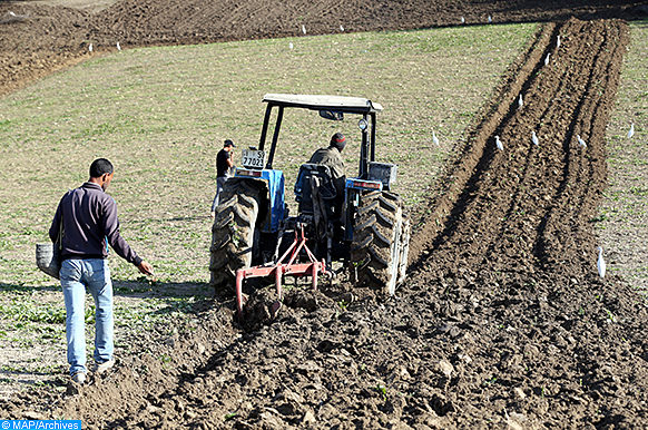 القرض الفلاحي يواكب بداية موسم فلاحي جيد واشادة واسعة لفلاحي المنطقة بالمدير الجهوي للمؤسسة البنكية بجهة فاس مكناس القرض الفلاحي يواكب بداية موسم فلاحي جيد واشادة واسعة لفلاحي المنطقة بالمدير الجهوي للمؤسسة البنكية بجهة فاس مكناس