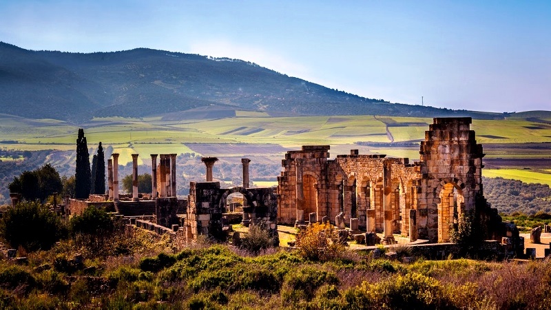 السيد عبد الغني الصبار عامل عمالة مكناس يفتتح فعاليات الدورة ال22 لمهرجان وليلي الدولي لموسيقى العالم التقليدية السيد عبد الغني الصبار عامل عمالة مكناس يفتتح فعاليات الدورة ال22 لمهرجان وليلي الدولي لموسيقى العالم التقليدية