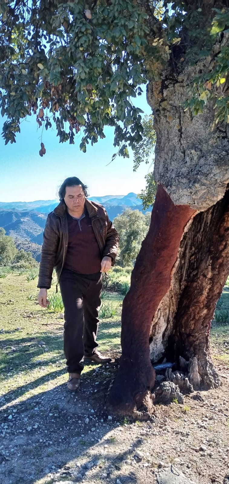 *****     القرنفل ***** عود النوار باللهجة المغربية ****