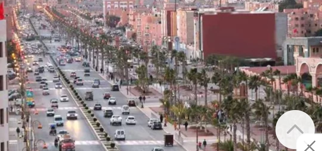 وفد برلماني من المملكة المتحدة سيحل الثلاثاء المقبل بمطار الحسن الأول بالعيون.