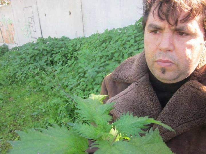 مركز ابا الهيثم للعلاجات الطبية بمدينة مكناس.يقدم لكم فوائد عشبة مغربية ...وفوائدها.