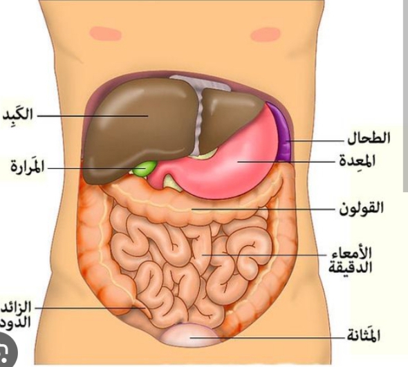 عليك بلا و لا ؟ 