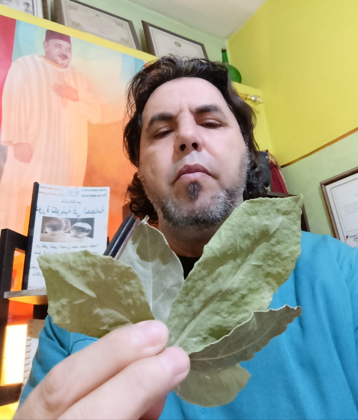 ورق الغار  =  الرند =  اوراق سيدنا موسى    ** فوائده **