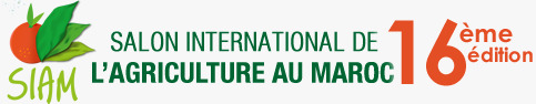 الملتقى الدولي للفلاحة بالمغرب واجهة لإبراز المؤهلات الفلاحية لجهات المملكة الملتقى الدولي للفلاحة بالمغرب واجهة لإبراز المؤهلات الفلاحية لجهات المملكة