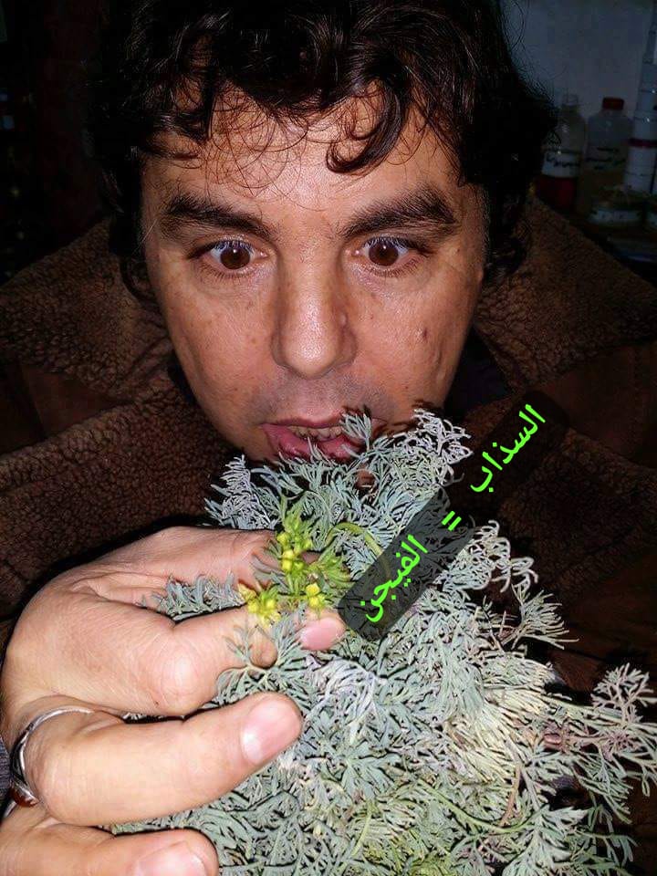 مرة أخرى مع اعشابنا المغربية //الفيجن//