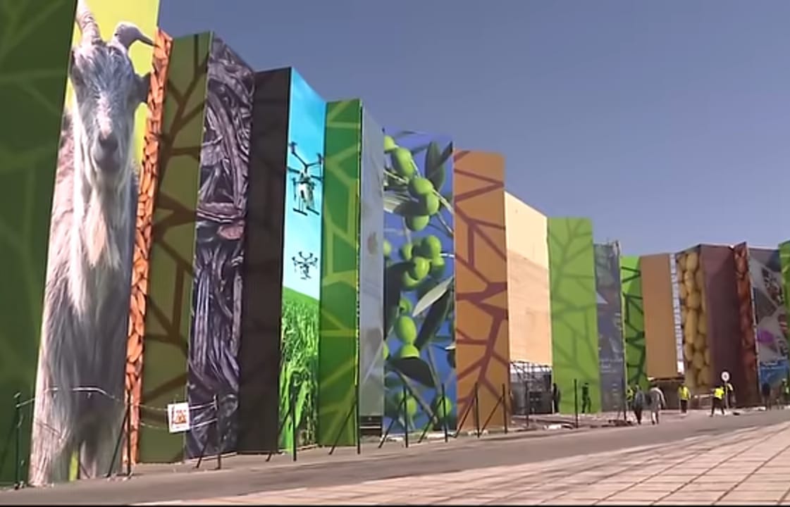 المعرض الدولي للفلاحة يفتتح الاثنين المقبل واستنفار كبير للسلطات المحلية لاستقبال ضيوف العاصمة الإسماعيلية المعرض الدولي للفلاحة يفتتح الاثنين المقبل واستنفار كبير للسلطات المحلية لاستقبال ضيوف العاصمة الإسماعيلية