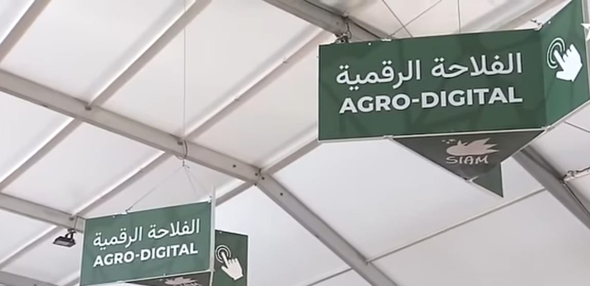 المعرض الدولي للفلاحة يفتتح الاثنين المقبل واستنفار كبير للسلطات المحلية لاستقبال ضيوف العاصمة الإسماعيلية المعرض الدولي للفلاحة يفتتح الاثنين المقبل واستنفار كبير للسلطات المحلية لاستقبال ضيوف العاصمة الإسماعيلية