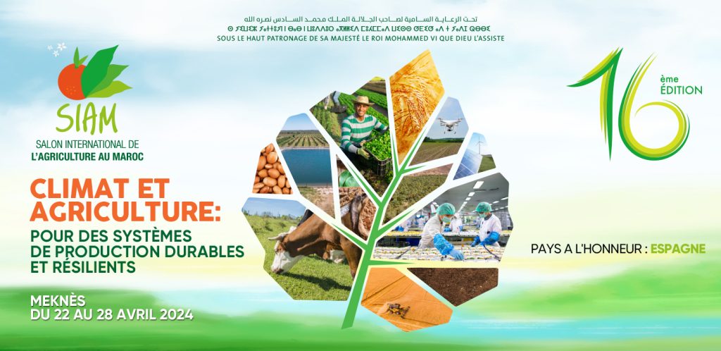 تغطية صحية واسعة لاحتضان المعرض الدولي للفلاحة بمكناس رشيد تكروث: المندوب الاقليمي لوزارة الصحة والحماية الاجتماعية بمكناس عبأنا أطقم صحية متخصصة وأسطول سيارات للإسعاف داخل وخارج فضاء المعرض مع وضع رهن الإشارة لأقسام بكاملها بكل من مستشفى محمد الخامس ومستشفى سيدي سعيد تغطية صحية واسعة لاحتضان المعرض الدولي للفلاحة بمكناس رشيد تكروث: المندوب الاقليمي لوزارة الصحة والحماية الاجتماعية بمكناس عبأنا أطقم صحية متخصصة وأسطول سيارات للإسعاف داخل وخارج فضاء المعرض مع وضع رهن الإشارة لأقسام بكاملها بكل من مستشفى محمد الخامس ومستشفى سيدي سعيد