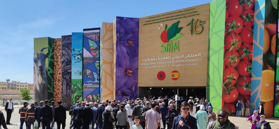 المعرض الدولي للفلاحة بالمغرب 2024: أبرز أرقام الدورة الـ 16 المعرض الدولي للفلاحة بالمغرب 2024: أبرز أرقام الدورة الـ 16