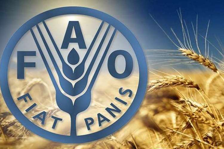 المغرب ومنظمة المغرب ومنظمة