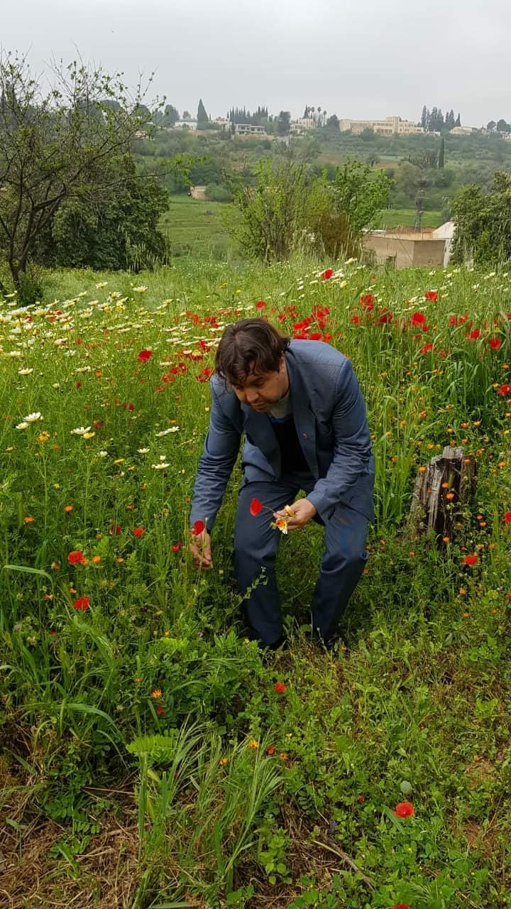 ======( شقائق النعمان. =. بلعمان )======= ======( شقائق النعمان. =. بلعمان )=======